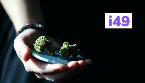 Tips-To-Grow-Premium-Quality-Cannabis-Buds