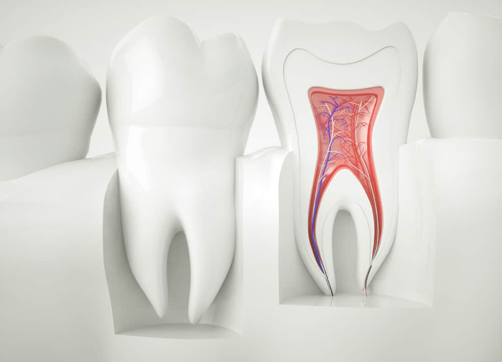 What You Need to Know About Endodontic Re-treatment