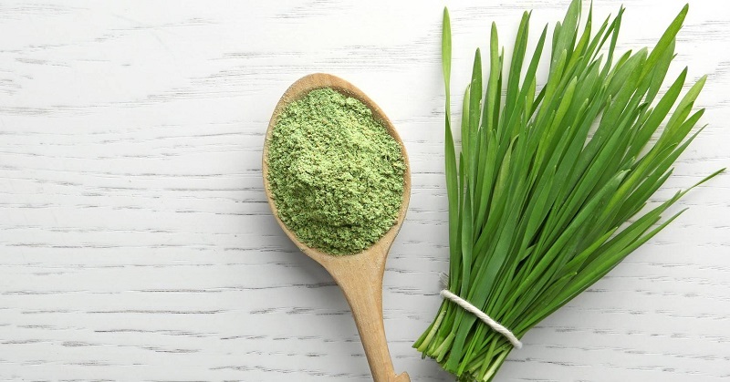 Reasons to Add These Green Superfoods to Your Diet!