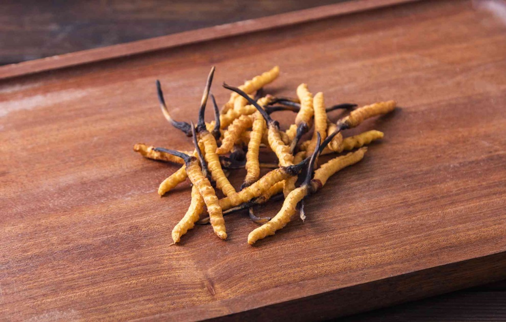 Cordyceps Supplement