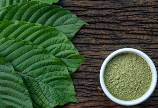 Kratom powder