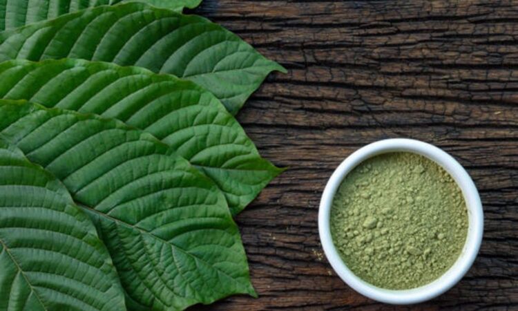 Kratom powder