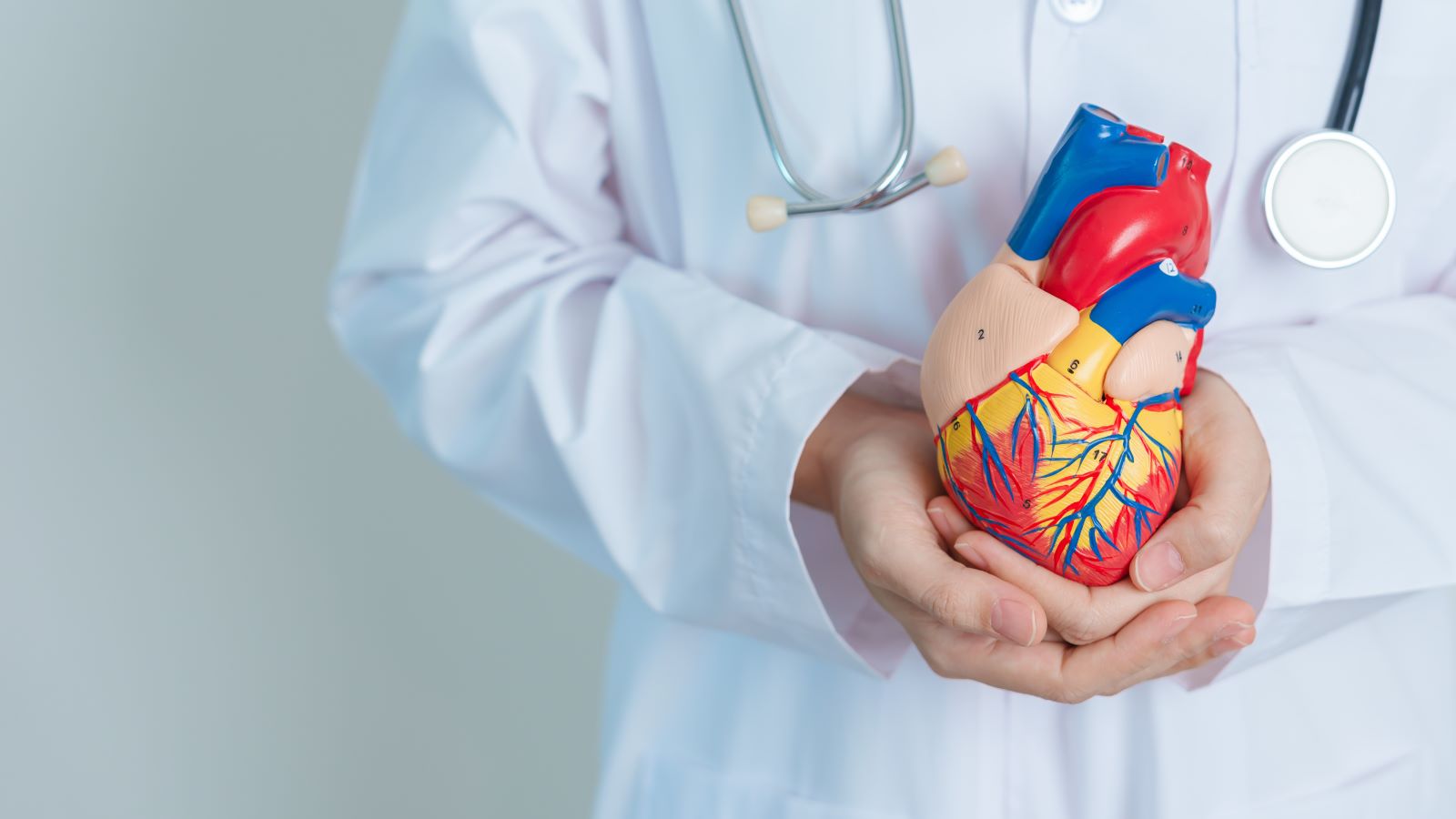 The Role Of A Cardiologist In The Treatment Of Heart Failure